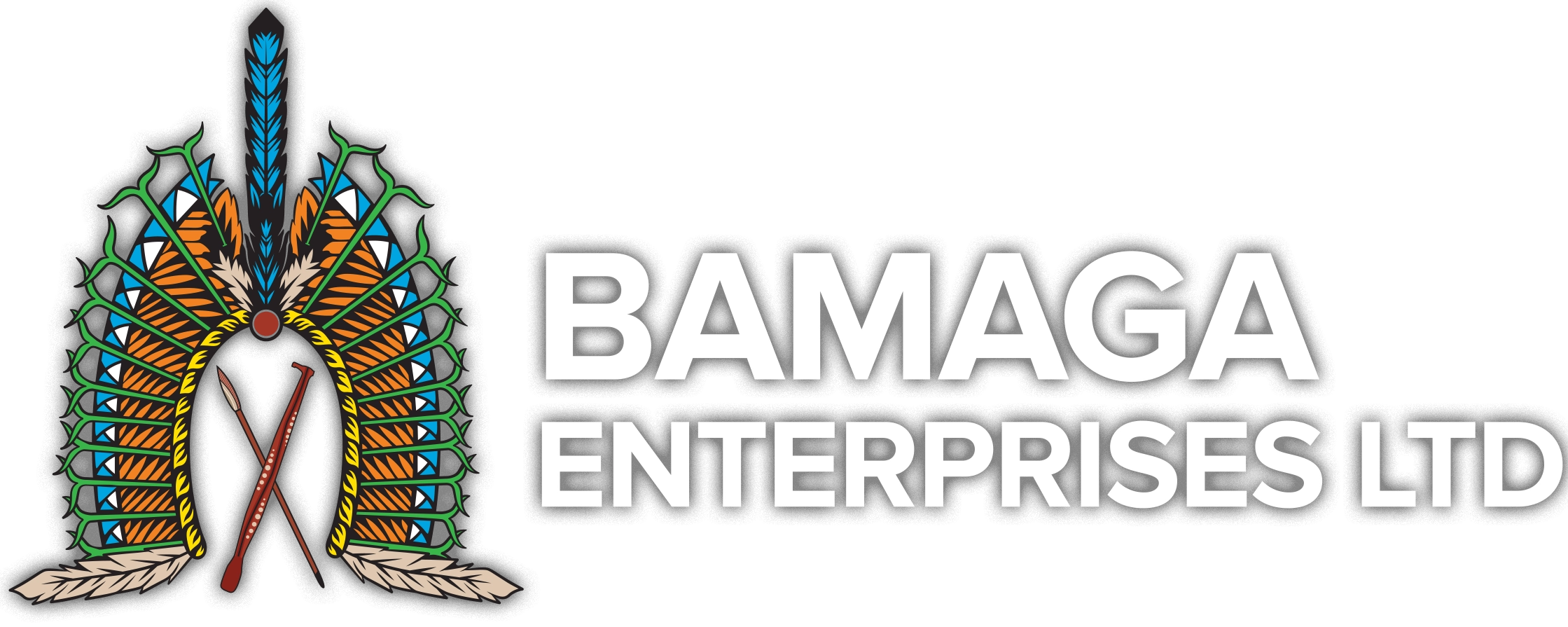 home-video_Bamaga Enterprises Logo_Horizontal_COL